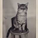 blogmanreturns avatar