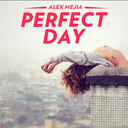 blogperfectdayproject-blog avatar