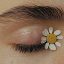 blogsuicideroomworld avatar