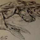 blondbookselkie avatar