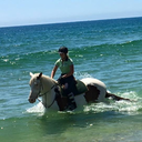 blonde-in-breeches avatar