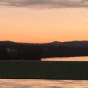 blondebarbiedollz-blog-blog avatar