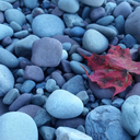 blondephotographer93 avatar