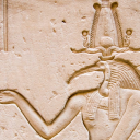 blood-and-bile avatar