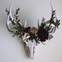 blood-and-fire avatar