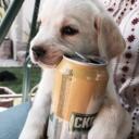 blood-chilling avatar