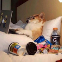 blood-guts-and avatar