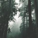 blood-honey-witch avatar