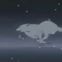 blood-of-wolves avatar