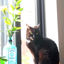 bloodandcream avatar