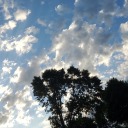 bloodbonesandpain avatar