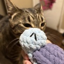 bloodhoundforbloodbags avatar