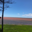 bloodlinehemmings avatar