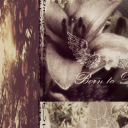 bloodmoonrose-blog avatar