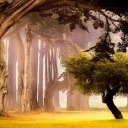 bloodorangemary avatar