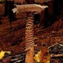 bloodstainedlovers avatar