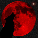 bloodstarvedlycan avatar