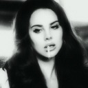 bloodsunlight avatar