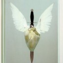 bloody-babydoll avatar