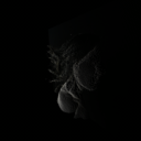 bloody-bathtubs avatar