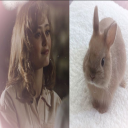 bloody-cupcakes avatar