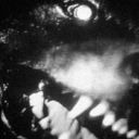 bloody-dog-16 avatar