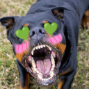 bloody-gore-mutt avatar