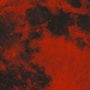 bloody-moon-x avatar