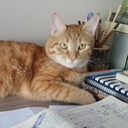 bloodyart666-blog avatar