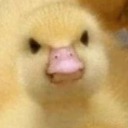 bloodyduckoff avatar