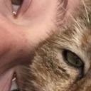 bloodyhxnds28 avatar