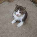 bloodymarykateandashley avatar