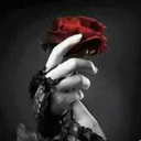 bloodyroseofvampire avatar