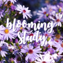 blooming-study avatar