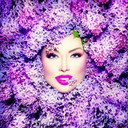 bloominglilacintoxication avatar