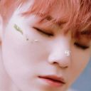 bloomingsmileflowers avatar