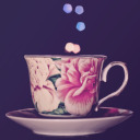 bloomingtears avatar