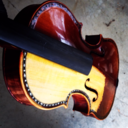 bloomingtonstringinstruments avatar