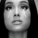 bloomsinyourhands avatar