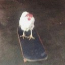 blorboblingus avatar