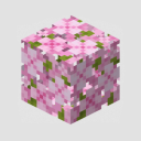 blossombandits avatar