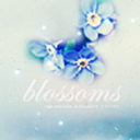 blossomed-heart avatar
