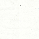 blossomfreckles avatar