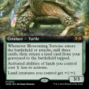 blossomingtortoise2 avatar