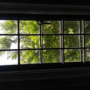 blossomingwish7 avatar