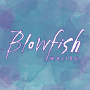blowfishshoes avatar