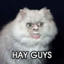 blowinmahnose avatar