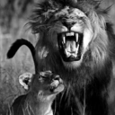 blowjob-from-hell-blog avatar