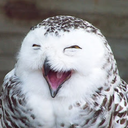 blowpart-timejob avatar