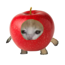 blublublopblop avatar